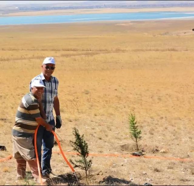 Bahşişleriyle satın alıp ekmeye başladı, 25 yılda bozkırı ormana çevirdi 8